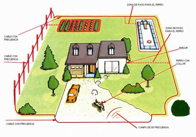 Valla invisible perros dogtrace dfence